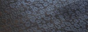 Dark Chocolate Walnut Daisies – JARDINS COLLECTION - Wallcovering by Cadorin Group