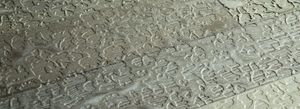 Golden Crystals Walnut Daisies – JARDINS COLLECTION - Wallcovering by Cadorin Group