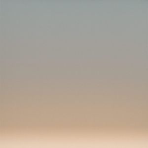 Anew - Wallpaper by Calico Wallpaper