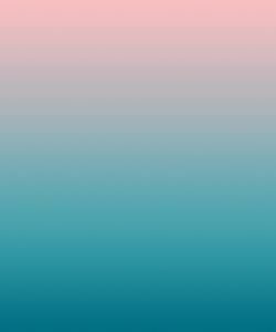 Dawn Series - Wallpaper by Calico Wallpaper