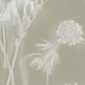 Grain - Wallpaper by Calico Wallpaper