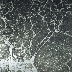 Lunaris Collection Commercial Deck - Wallpaper by Calico Wallpaper