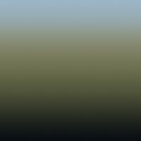 Vermeer - Wallpaper by Calico Wallpaper