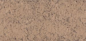 Lincolnshire - Countertops by Cambria