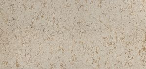 Windermere - Countertops by Cambria