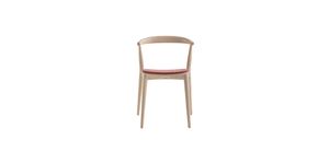 Newood Light - Chair by Cappellini