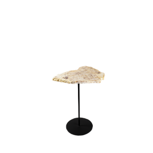 Petrified Pole Table - Coffee table by CBdesign
