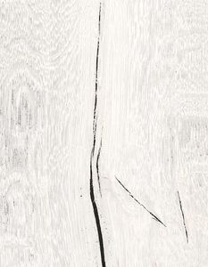 Timewood White - Wall tile-stone-brick by CERAMICA SANT'AGOSTINO