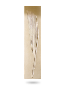 Oriental - Wall lamp by Cinier