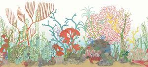 Archipelago Border - Wallpaper by Cole & Son