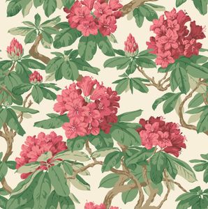Bourlie - Wallpaper by Cole & Son