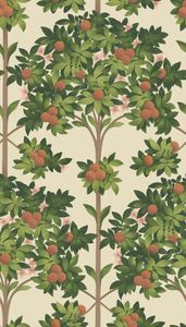 Orange Blossom - Wallpaper by Cole & Son