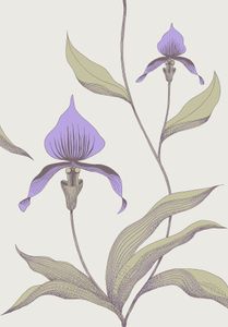 Orchid - Wallpaper by Cole & Son