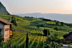 Sorsi di bellezza, alla scoperta delle cantine di design | Approfondimenti | Corradi Italiano - Accessories by Corradi