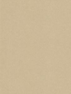 Cashmere NE42 - Decorative Finishes by Cover Styl