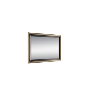 Dragonfly Mirror - Accessories by CPRN HOMOOD