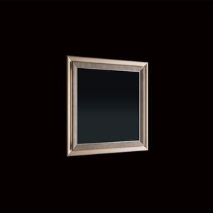 Dragonfly Mirror 2 - Accessories by CPRN HOMOOD
