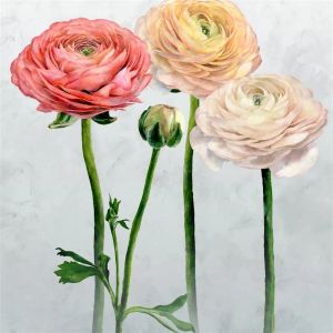 Tourangelle Scene 2 Peony - Wallpaper by Designers Guild