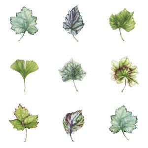 Leafery - Wallcovering by Designtex