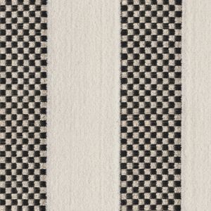 Racetrack - Upholstery fabric by Designtex