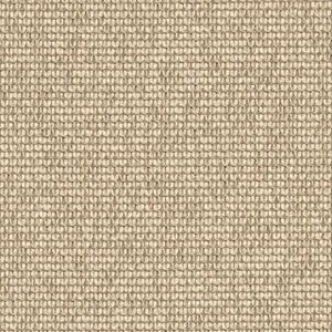 Sidetrack - Upholstery fabric by Designtex