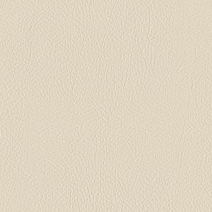 Tour - Upholstery fabric by Designtex