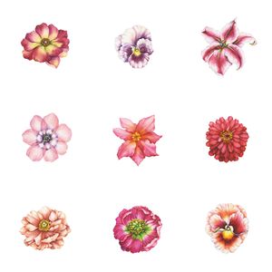 Wallflowers - Wallcovering by Designtex