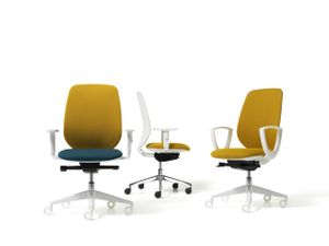 Skin - Chair by Diemme