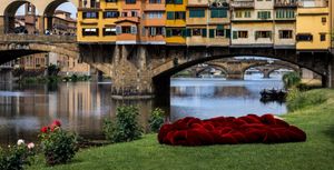 Boa - Sofa by Edra