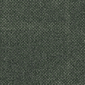 Transition - Seed - Rug by Ege Carpets