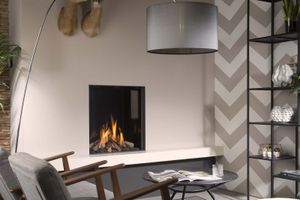 Cupido 70 CF Gasfire - Fireplaces & stoves by Element4