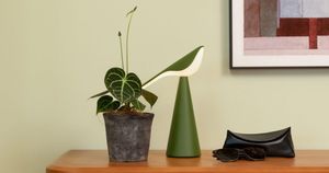 Tiki - Accessories by Established and Sons