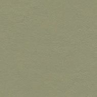 marmoleum decibel rosemary green - Synthetic Floor by Forbo