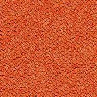 tessera chroma calypso - Carpet by Forbo