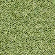 tessera chroma botanical - Carpet by Forbo