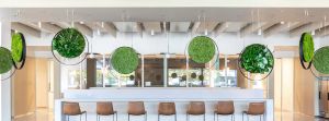 About — Greenmood Belgium - Accessories by GREENMOOD