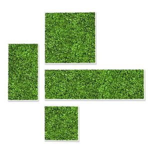 Cadres en mousse - Accessories by GREENMOOD