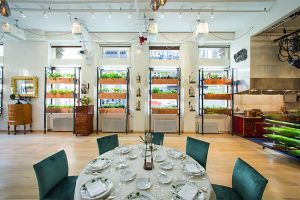 HABIMAT - Da NYC arriva l'orto urbano indoor. Firmato chef Bouley - Accessories by HABIMAT
