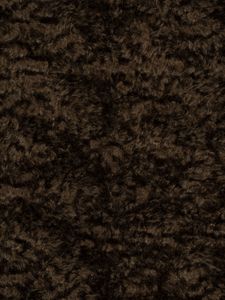 Grizzly Wild Bill (DE14406) - Curtain by Holland & Sherry