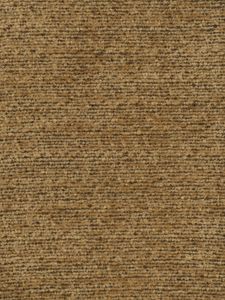 Prairie Chenille Wheatfield - Curtain by Holland & Sherry