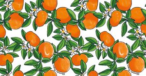 Tangerine - Wallcovering by Hookedonwalls