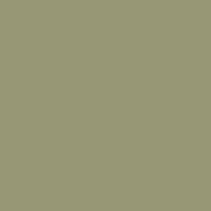 APPLE Paint Pot 125ml - 28 - Wallpaper by House of Hackney