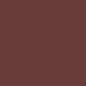 CARNELIAN Paint Pot 125ml - 81 - Wallpaper by House of Hackney