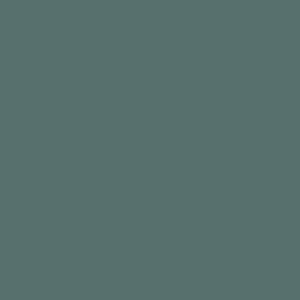 EUPHORBIA Paint Pot 125ml - 90 - Wallpaper by House of Hackney