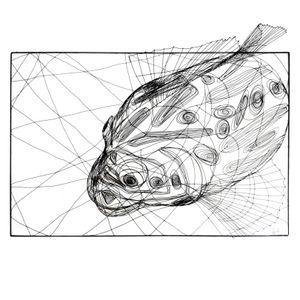 CICHLID FISH sculpture - Accessories by ICI ET LÀ