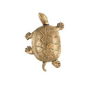 Fauna Aldarba - turtle brass knob - Accessories by Il Bronzetto