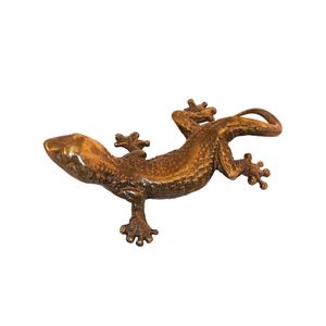 Fauna Tokay – gecko brass knob - Accessories by Il Bronzetto