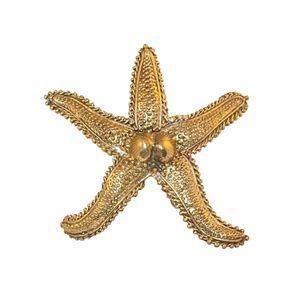 Oceano Favignana - starfish brass knob - Accessories by Il Bronzetto