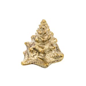 Oceano Cymatium - seashell brass knob - Accessories by Il Bronzetto