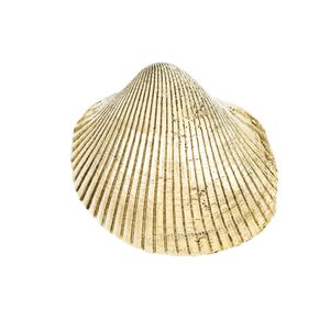 Oceano Fan - seashell brass knob - Accessories by Il Bronzetto